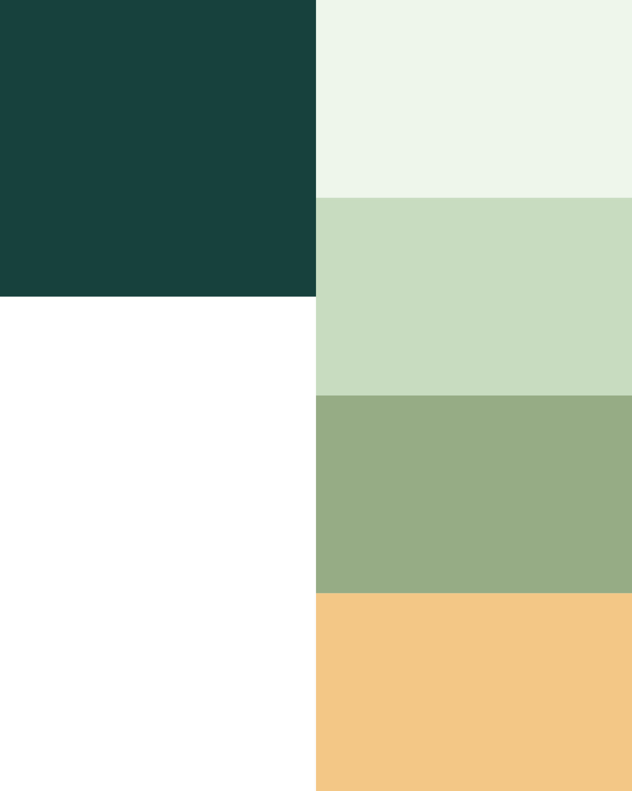 desigbyclay-brand-design-nidum-colour-palette desigbyclay-brand-design-nidum-colour-palette