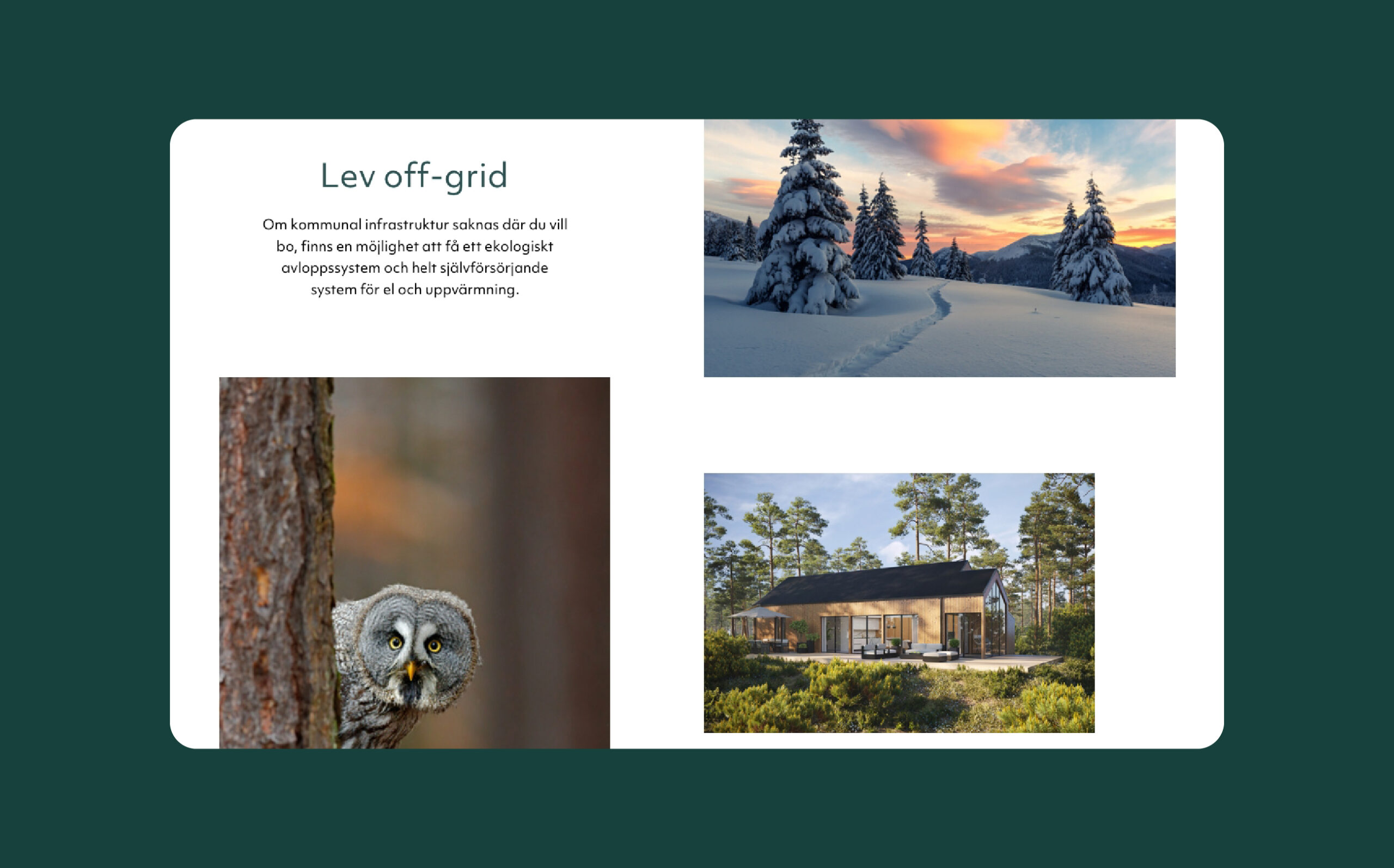 desigbyclay-web-design-browser-detail-nidum desigbyclay-web-design-browser-detail-nidum